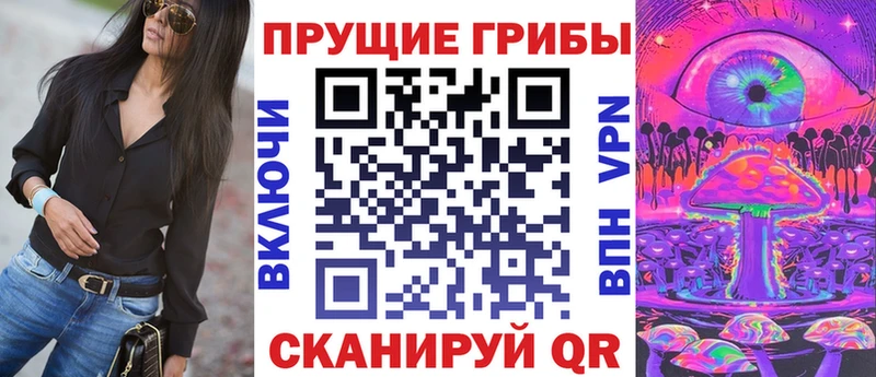 дарнет шоп  Цоци-Юрт  МЕГА зеркало  Псилоцибиновые грибы Psilocybe 